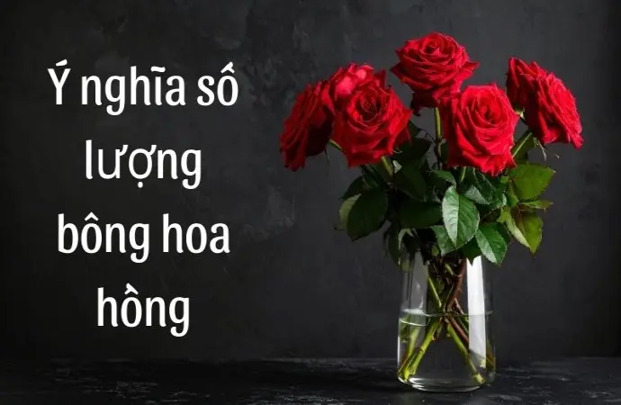 Giải mã ý nghĩa số lượng bông hoa hồng trong cuộc sống