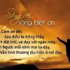 Châm ngôn về lòng biết ơn trong cuộc sống truyền cảm hứng