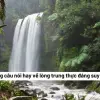 Top stt hay về sự trung thực giúp bạn sống chân thành hơn