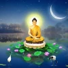 45 câu nói tịnh tâm giúp bạn bình tĩnh trước nghịch cảnh