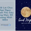 70+ Lời Chúc Ngủ Ngon Thả Thính Đốn Tim Crush Năm 2026
