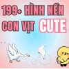 Avatar Vịt Cute Tổng hợp hình ảnh đáng yêu và độc đáo