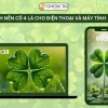 Bộ sưu tập hình nền cỏ 4 lá may mắn avatar đẹp cho năm 2026