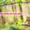 BST Câu Status Hay Nhất Về Tình Yêu, Cuộc Sống Và Công Việc Năm 2026