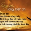 Châm ngôn về lòng biết ơn: Lời nhắc nhở ý nghĩa cho cuộc sống