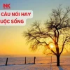 Những Câu Nói Chữa Lành Tâm Hồn Tuyệt Đẹp Giúp Bạn Tìm Lại Bình Yên