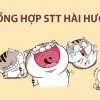 Những câu nói hài hước về tình yêu và cuộc sống
