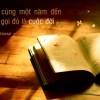 Những câu nói hay của người nổi tiếng truyền cảm hứng và bài học cuộc sống