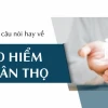 Những câu nói hay về bảo hiểm nhân thọ truyền cảm hứng và kiến thức