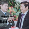 Những câu nói hay về dạm ngõ: Lời hay ý đẹp cho ngày ra mắt