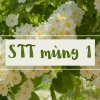 Những Status Mùng 1 Đầu Tháng Hài Hước Nhất Năm 2026