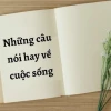 Tổng hợp những stt hay về cuộc sống ý nghĩa và sâu sắc
