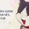 Top Hình ảnh Mèo Cute Anime: Tải Ngay Avatar và Hình Nền Độc Đáo