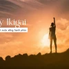 Triết lý Ikigai: Tìm thấy ý nghĩa cuộc sống và niềm vui mỗi ngày