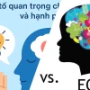 Phát triển trí tuệ cảm xúc EQ qua STEAM cho trẻ mầm non năm 2026