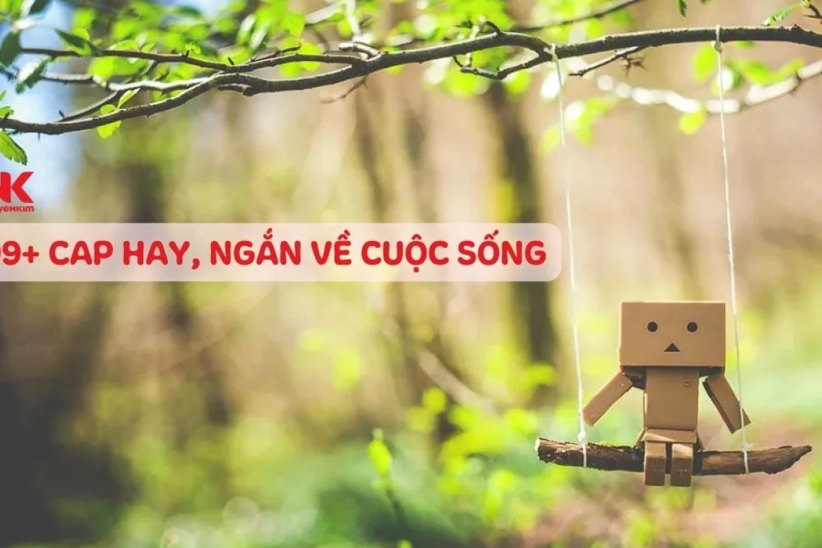 BST Câu Status Hay Nhất Về Tình Yêu, Cuộc Sống Và Công Việc Năm 2026