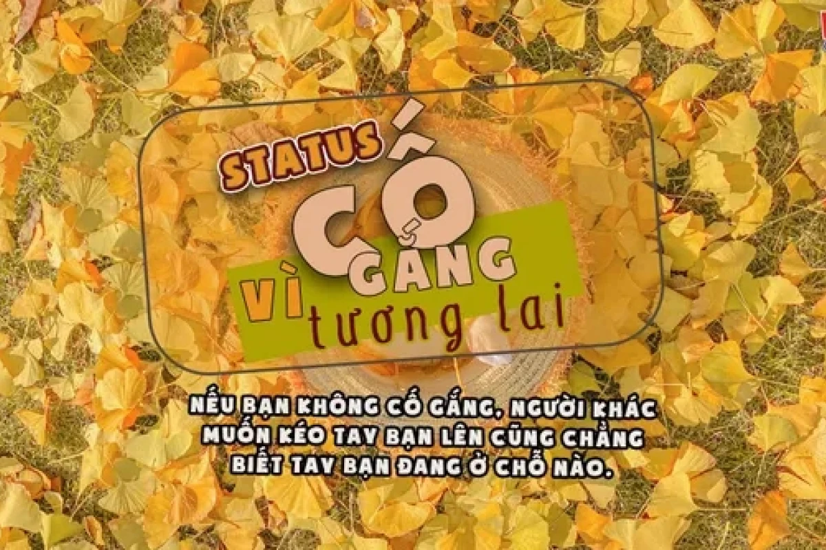 Những câu nói hài hước về sự cố gắng khiến bạn bật cười
