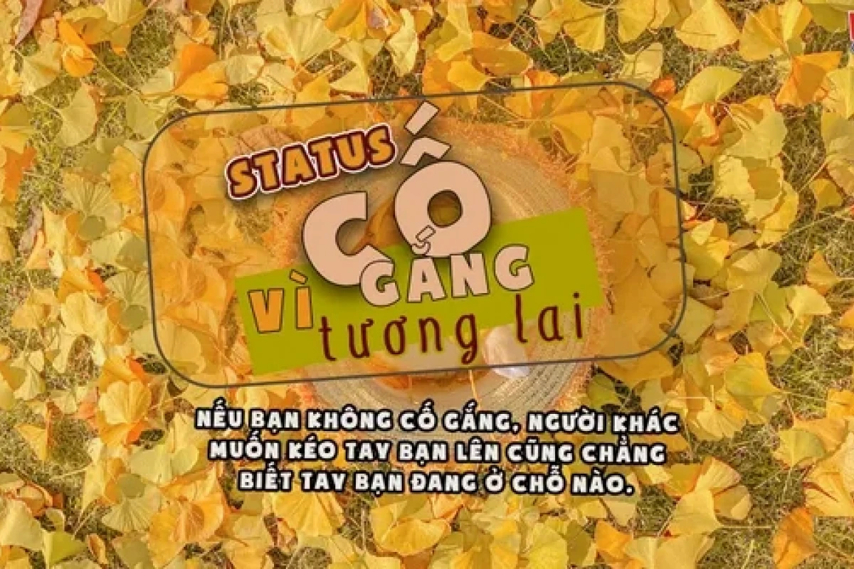 Những câu nói hay về làm việc hết mình và nỗ lực vươn lên