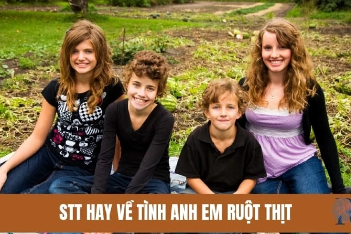 Những stt hay về anh em ruột hài hước và tình cảm gắn bó