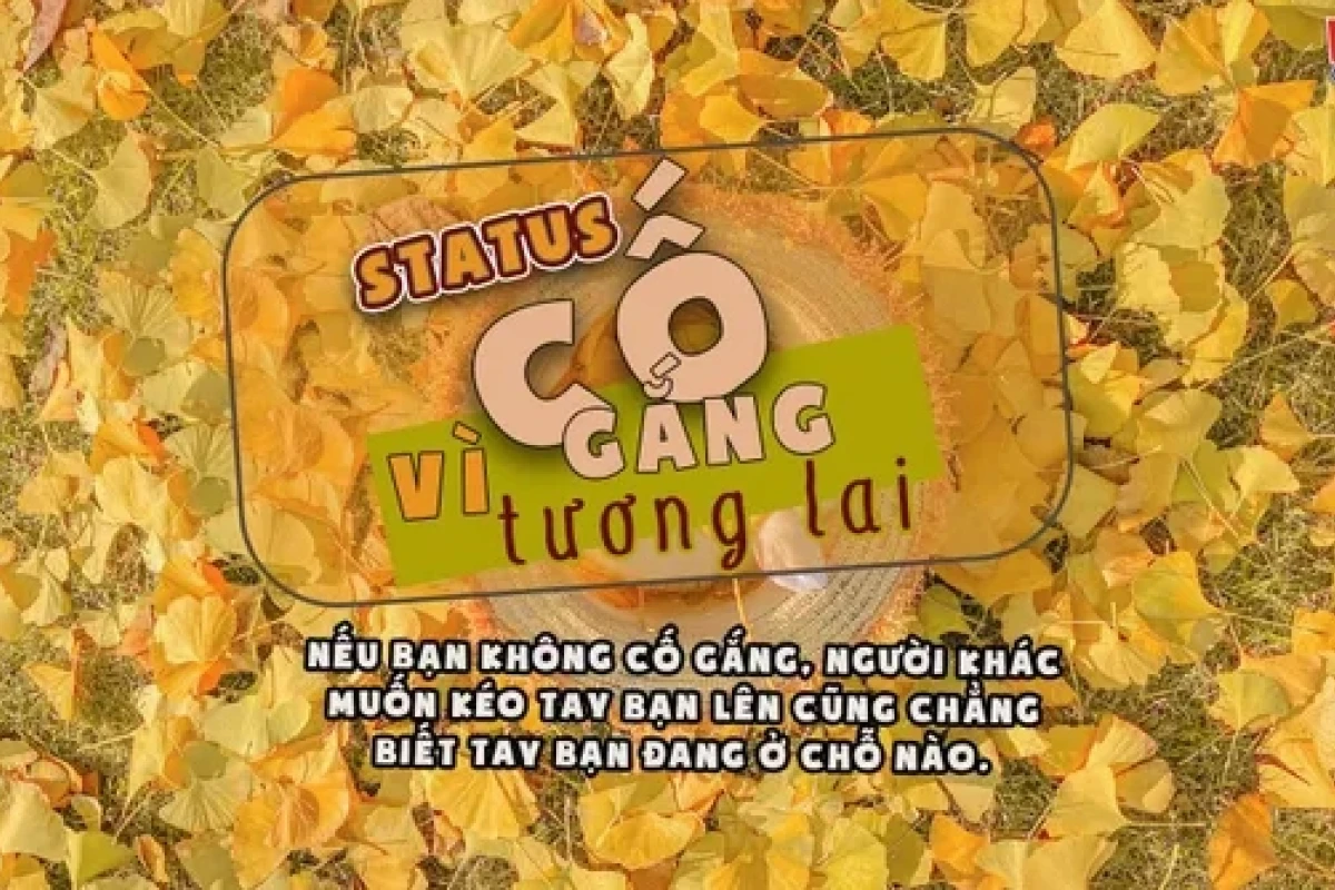 Stt cố gắng vì tương lai: Động lực vượt khó cho khát vọng thành công