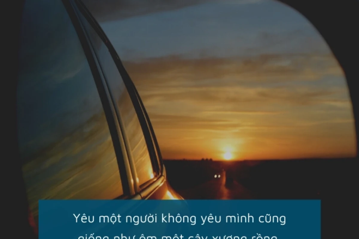 Tổng hợp những câu nói về tình yêu buồn chạm đến trái tim năm 2026