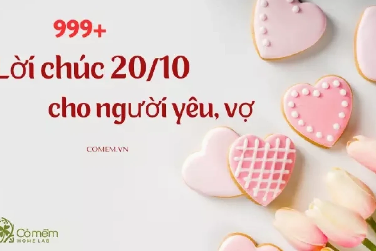 Tổng hợp stt chúc 20/10 ý nghĩa tôn vinh phái đẹp năm 2026