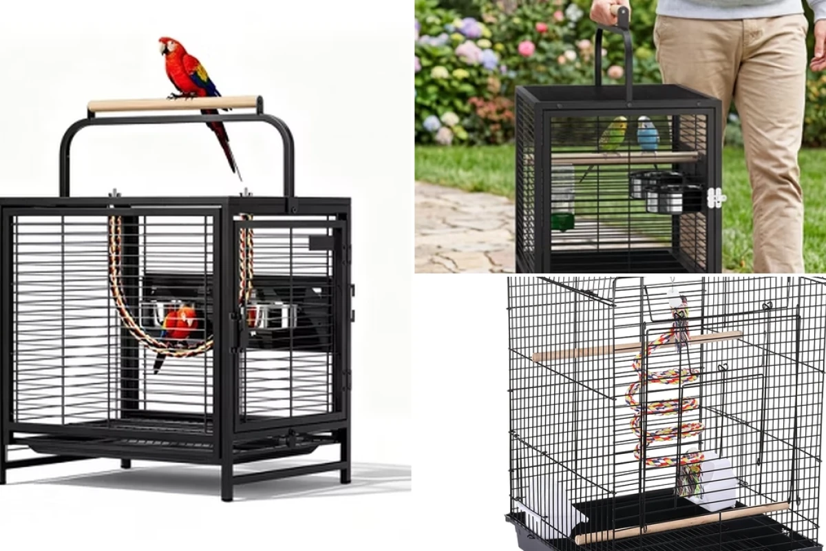 Comprehensive guide to choosing a portable bird cage for travel with small parrots