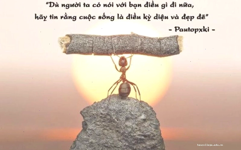 Albert Einstein nói về việc giữ thăng bằng trong cuộc sống như lái xe đạp
