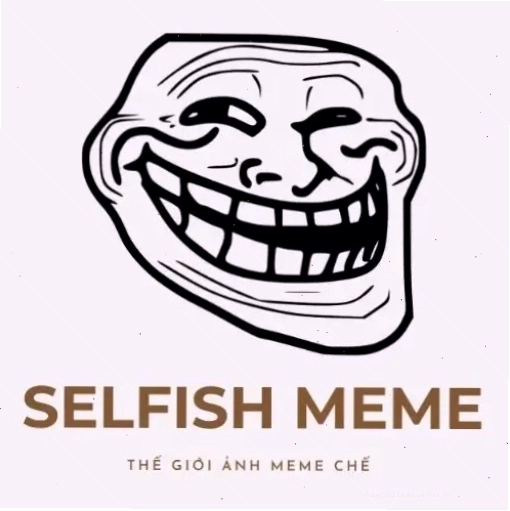 Ảnh đại diện độc đáo với hiệu ứng meme hài hước