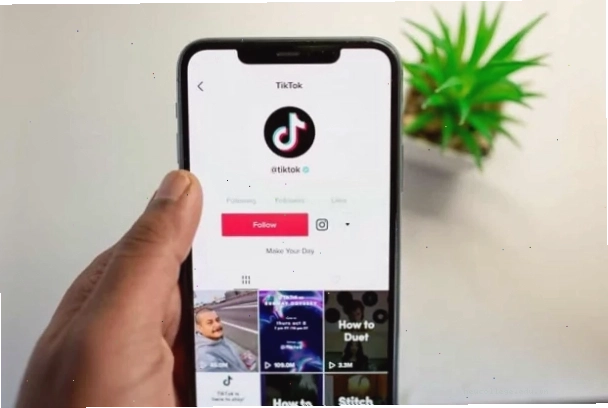 Ảnh minh họa avatar TikTok với hiệu ứng trong suốt