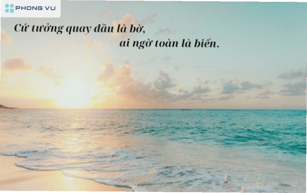 Ảnh minh họa các tình huống hài hước trong cuộc sống, có thể dùng làm câu nói meme