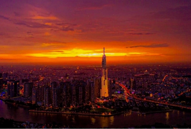 Avatar chill phong cảnh con đường mòn trong rừng