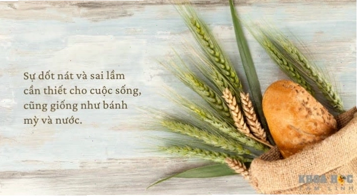 Biểu tượng cân bằng thể hiện sự đối lập giữa trí tuệ và ngu dốt
