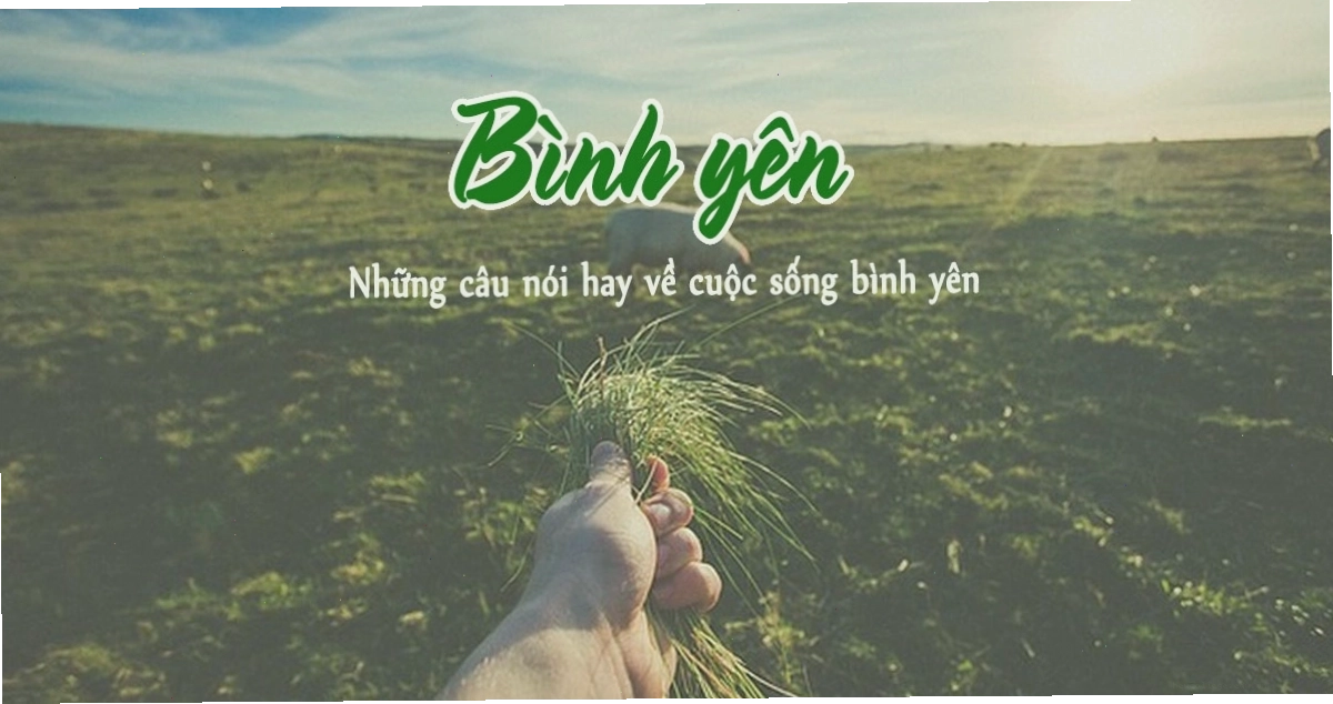 Cảnh hoàng hôn lãng mạn trên cánh đồng quê
