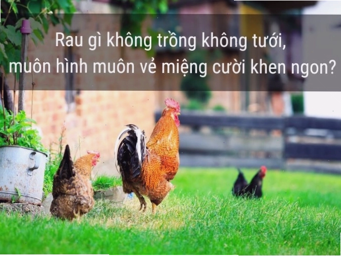 Cảnh quê thanh bình với những ngôi nhà nhỏ và cây xanh