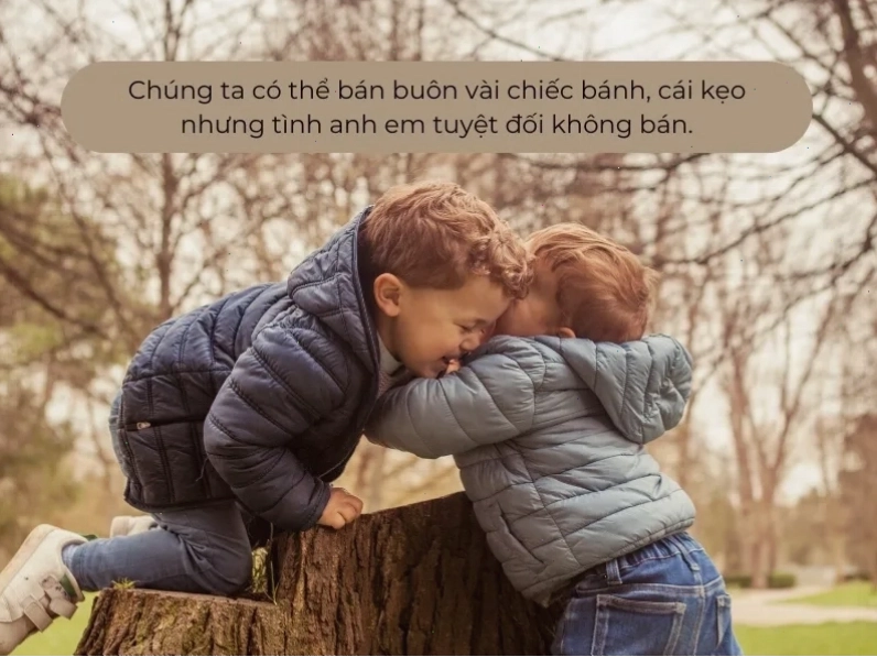 Cap về tình anh em hài hước