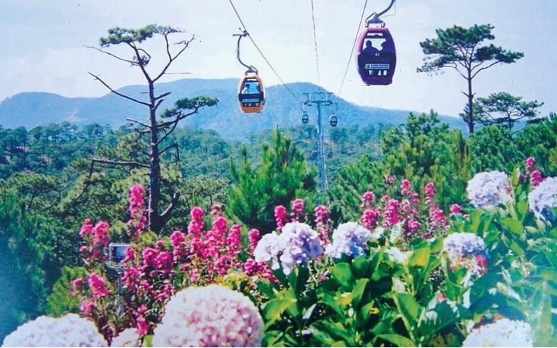 Caption hài hước khi đi du lịch Đà Lạt