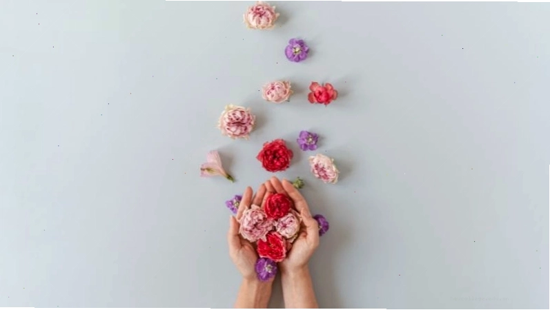 Caption hài hước tạo tiếng cười cho tiểu sử mạng xã hội