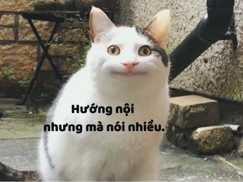 Caption ngắn hài hước câu like