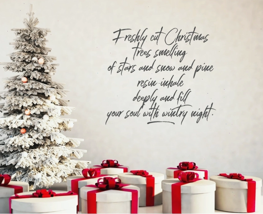 Caption Noel ý nghĩa tiếng Anh