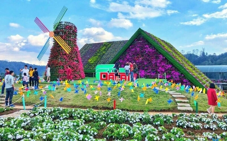 Caption thả thính khi đi du lịch Đà Lạt lãng mạn