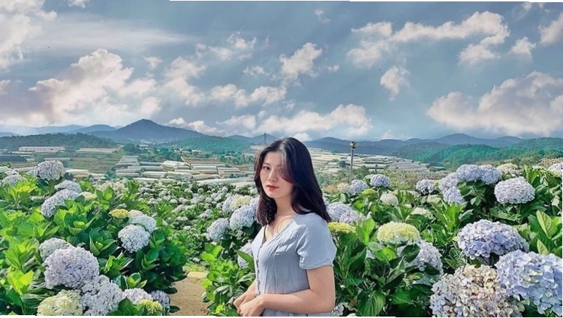Caption thả thính về Đà Lạt