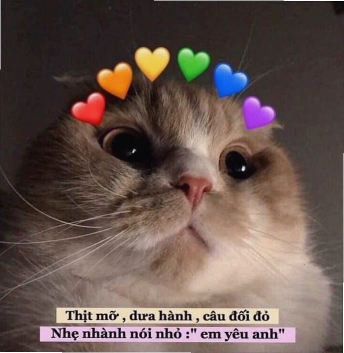Caption tình yêu hài hước độc đáo