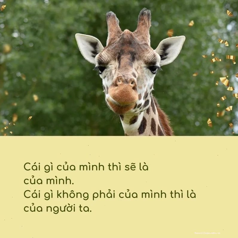 Câu hỏi vô tri thách thức tư duy