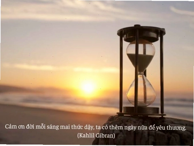 Câu nói hay về lòng biết ơn của William Arthur Ward về việc biến đổi cuộc sống