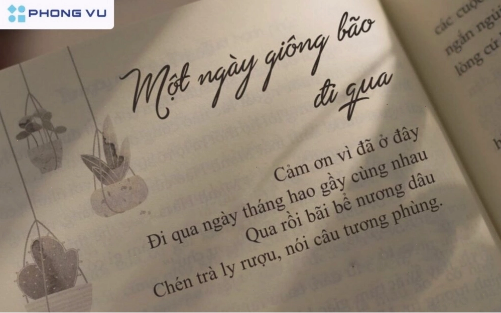 Câu nói triết lý về cuộc sống và ý chí