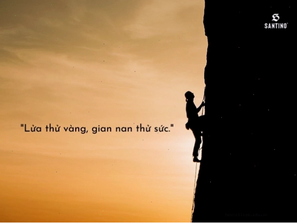 Câu nói truyền cảm hứng làm việc tập trung và hiệu quả