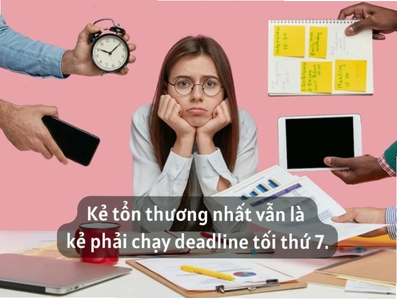 Câu nói vui về công việc