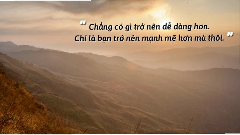 Hình ảnh minh họa cho sự chiêm nghiệm sâu sắc về cuộc sống