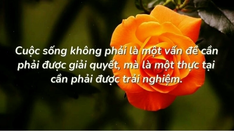 Hình ảnh minh họa cho sự kiên cường và ý chí vươn lên